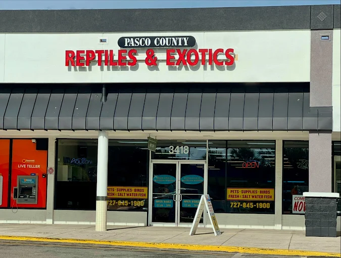 Try Pasco County Reptiles & Exotics